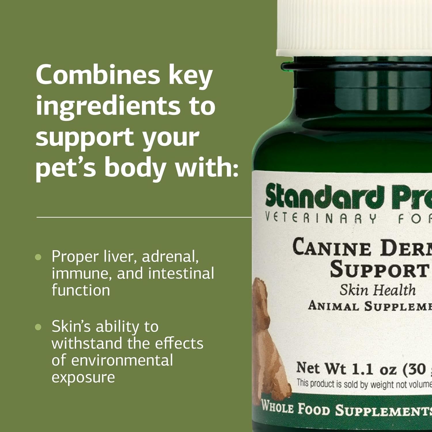 Standard Process Canine Dermal Support - Skin & Adrenal Gland Support Supplement - Comprehensive Skin Health Support Supplement for Dogs - Daily Immune & Liver Support Powder - 30 g - Pet Explorer