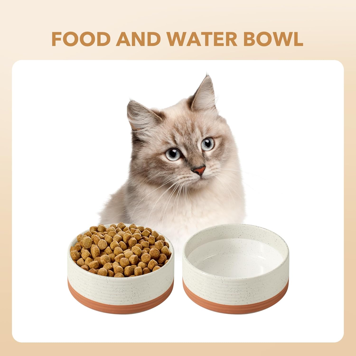 Ceramic 5.1inch Set of 2 Dog and Cat Bowls for Puppy, Kitty, Cats, 2pcs Anti-Slip Food and Water Pet Feeder(2 Bowls, Vanilla White) - Pet Explorer