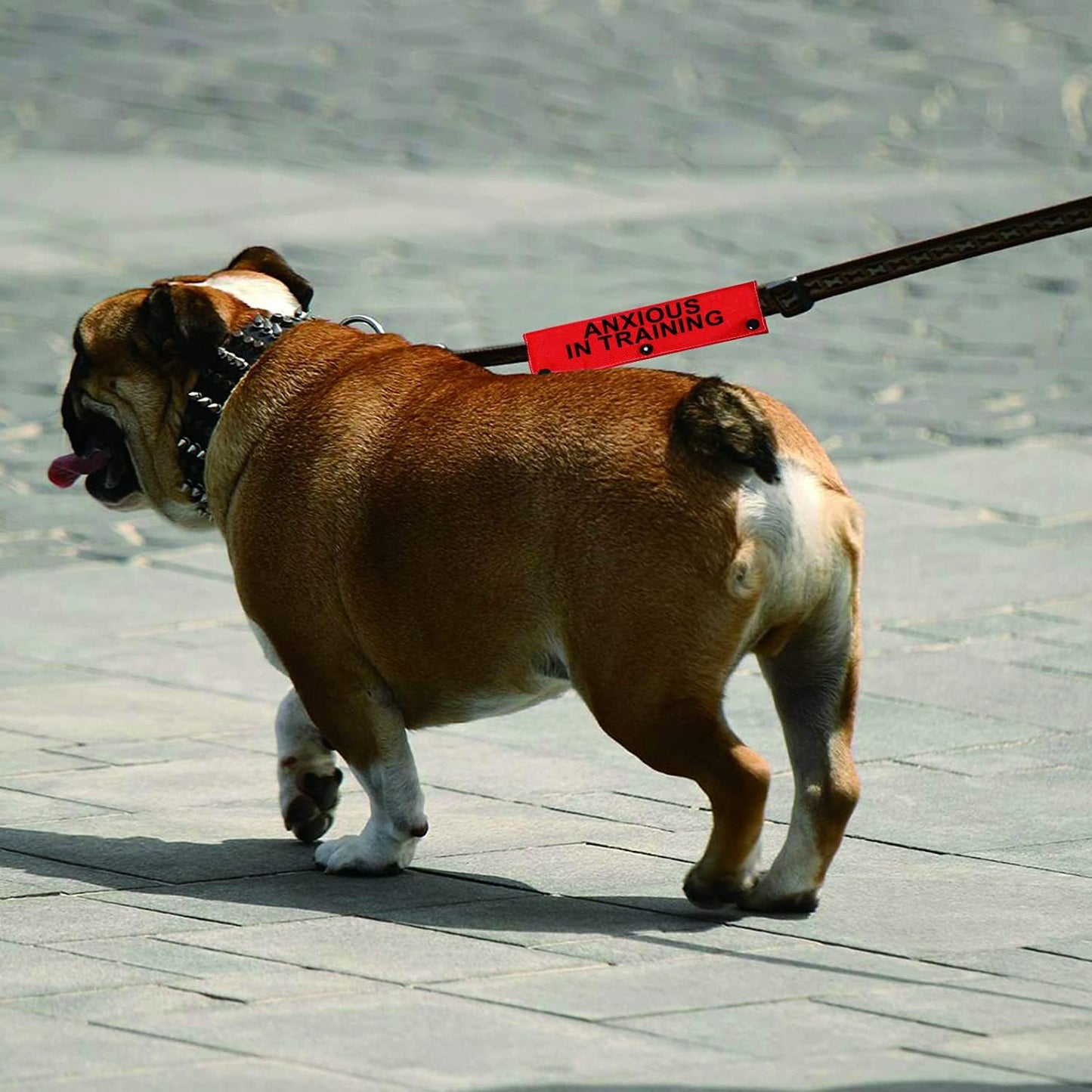 Funny Dog Leash Sleeve Have Anxious in Training Dog Leash Wrap Sleeve Pet Birthday Gift (Anxious in Training-Sleeve)