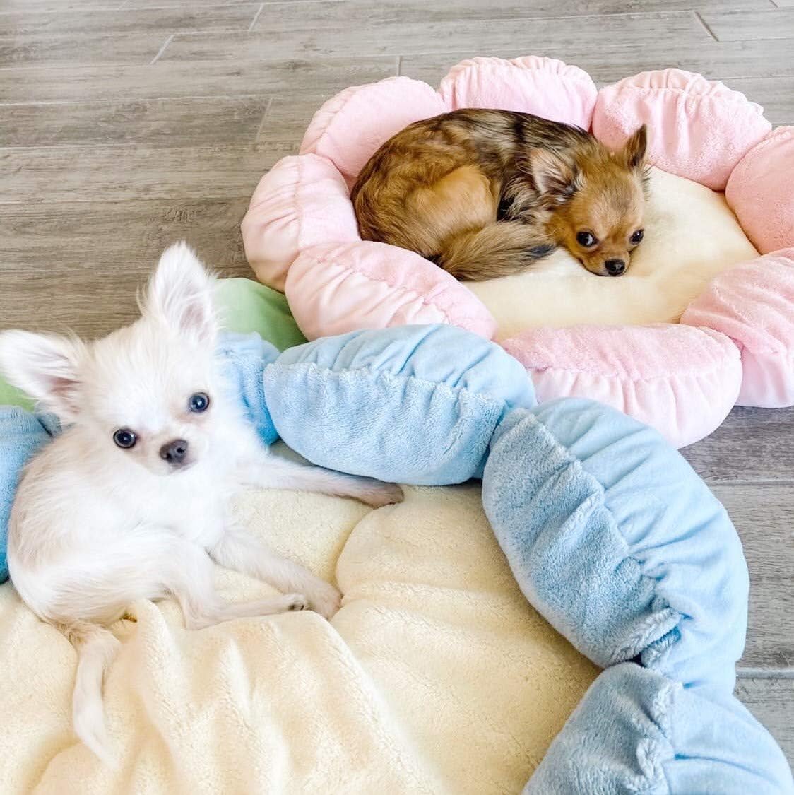 TONBO Soft Plush Small Cute and Cozy Nature Dog Cat Bed, Washer and Dryer Friendly (Blue Flower) - Pet Explorer