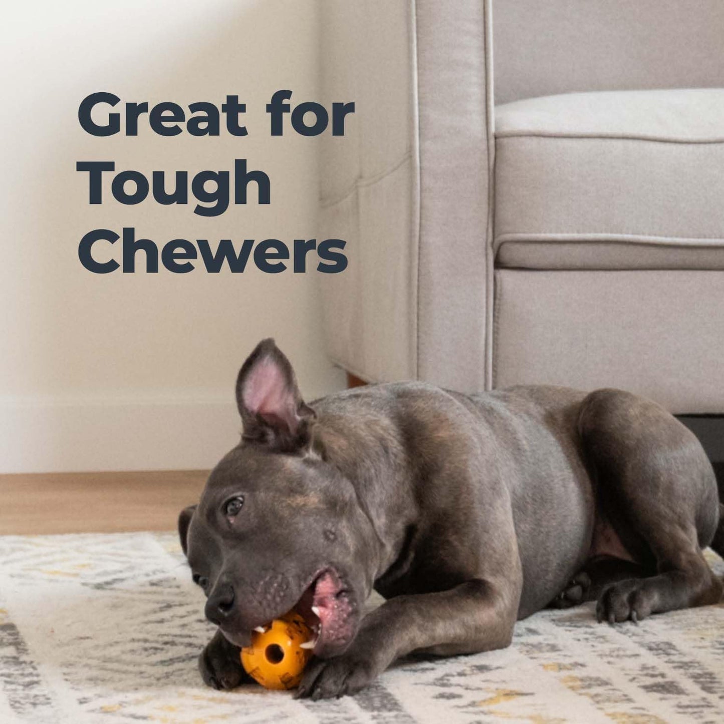 Oxyfresh Dog Dental Chew Toy - Best Durable Rubber Dog Toy for Tough Chewers – Helps Remove Plaque, Cleans Teeth & Freshens Breath Without Brushing (Large)