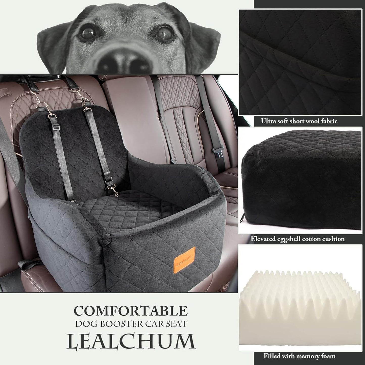 Dog Booster Car Seat for Small/Medium Dogs Up to 35lbs,Elevated Cushion Fits in Front/Back Seat,Fully Detachable and Washable,2 Storage Pockets & Dog Leashes,Easy to Install(Black,Medium) - Pet Explorer