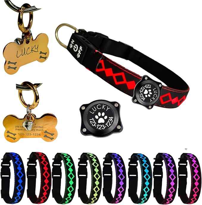 LED Dog Collar with AirTag Holder and Custom ID Tag, 15 Light Modes, Waterproof, Multiple Colors (Black, XL(19.7-23.6"))