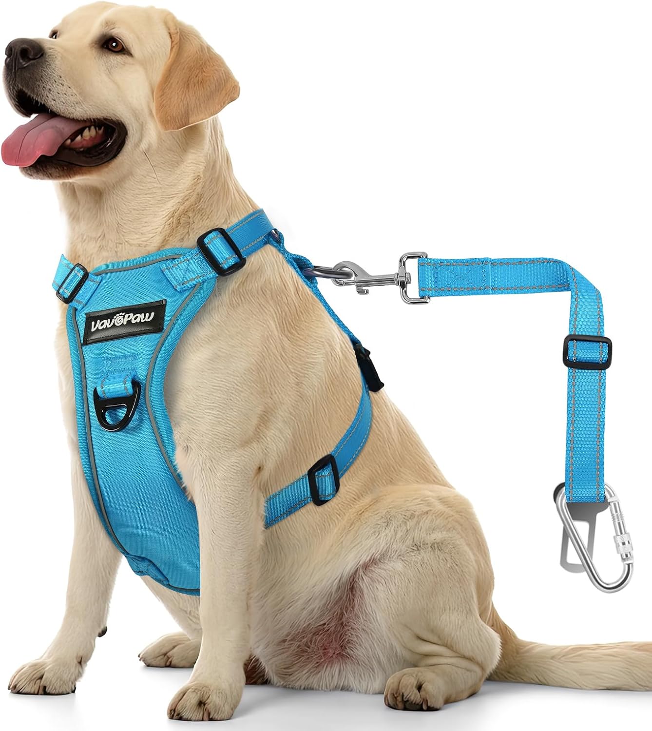 Dog Seat Belt Harness for Car, Dog Car Harness Adjustable Mesh Breathable & Dogs Seatbelt Safety Tether with Elastic Bungee for Small Medium Large Pets(Blue, XL) - Pet Explorer