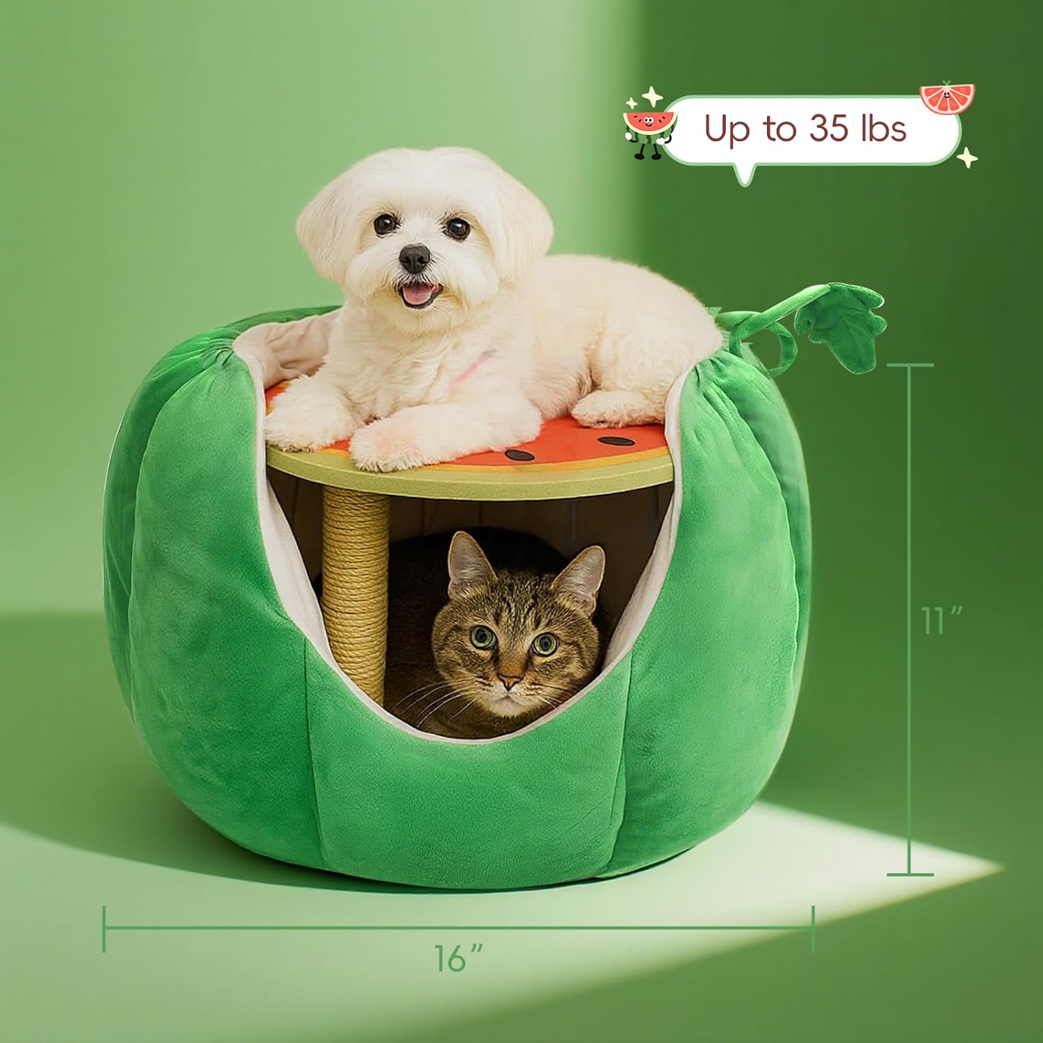 Cat Houses for Indoor Cats, Small Cat Tree with Sisal Ropes and Plush Perch, Cute Cat Bed Cave with Soft Pillow, Watermelon Design - Pet Explorer