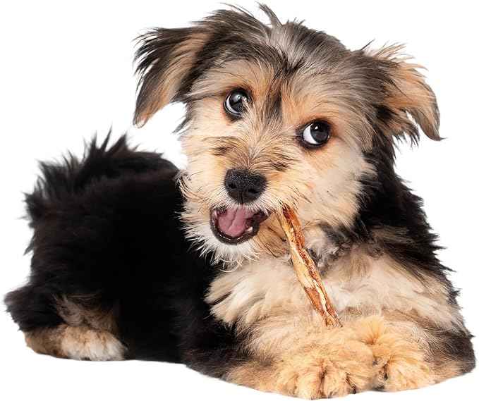 Fieldcrest Farms Nothin' to Hide Twist Stix, Bacon Flavor, Easily Digestible, Supports Skin, Coat, Joints & Muscles, for Moderate Chewers Under 15lbs, 10 Pieces