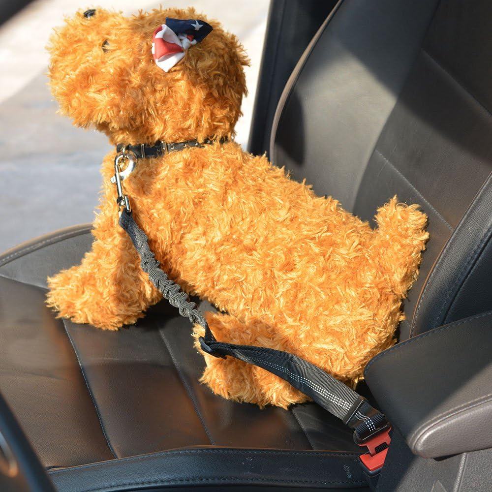 SlowTon Dog Seat Belt Harness for Car, Dog Car Harness Adjustable Mesh Breathable & Dog Seatbelt Safety Tether with Elastic Bungee for Small Medium Large Pets(Black, Single Clip, XS) - Pet Explorer