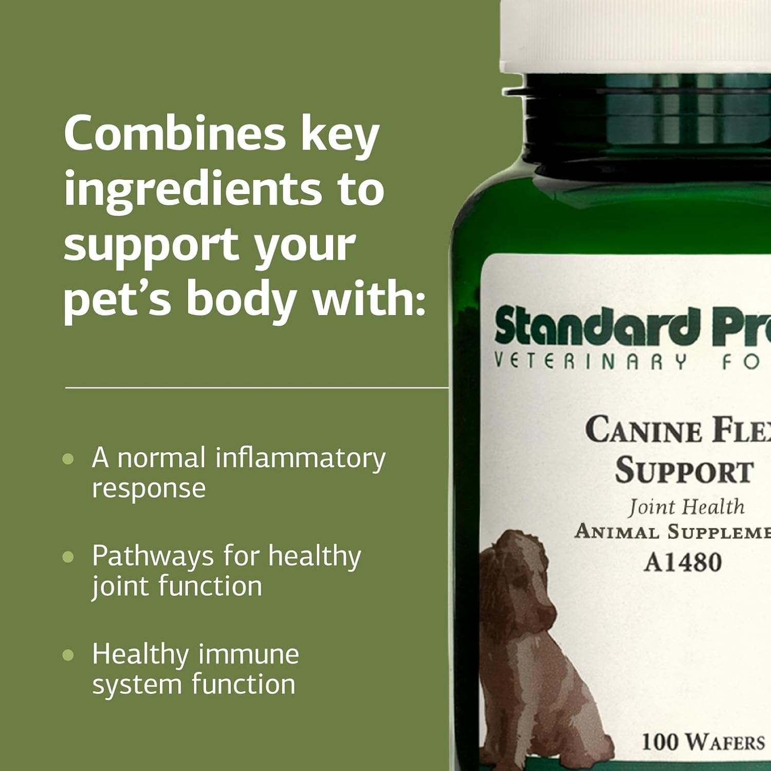 Standard Process Inc. Canine Flex Support - Joint & Immune Health Supplement for Dogs - Chewable Wafers for Healthy Joint Function Support - Nutritional Whole-Food Based Supplement - 100 wafers - Pet Explorer