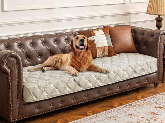 Ameritex Waterproof Dog Bed Cover Pet Blanket with Anti-Slip Back for Furniture Bed Couch Sofa - Pet Explorer