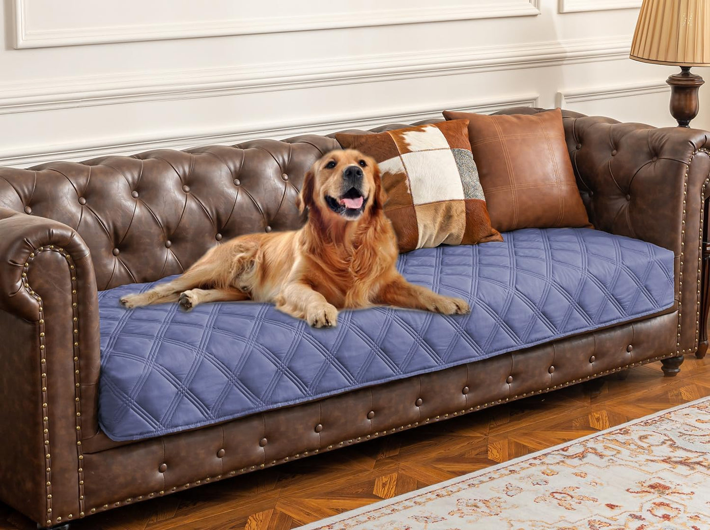 Ameritex Waterproof Dog Bed Cover Pet Blanket with Anti-Slip Back for Furniture Bed Couch Sofa - Pet Explorer