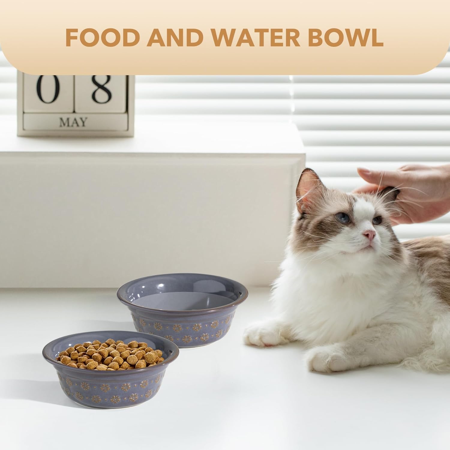 5.5inch Ceramic Set of 2 Dog and Cat Bowls, 2pcs Basic Food and Water Dishes for Puppy, Kitty, Wide Opening Rounded Edge (2 Bowls, Reactived Glaze -Grey) - Pet Explorer