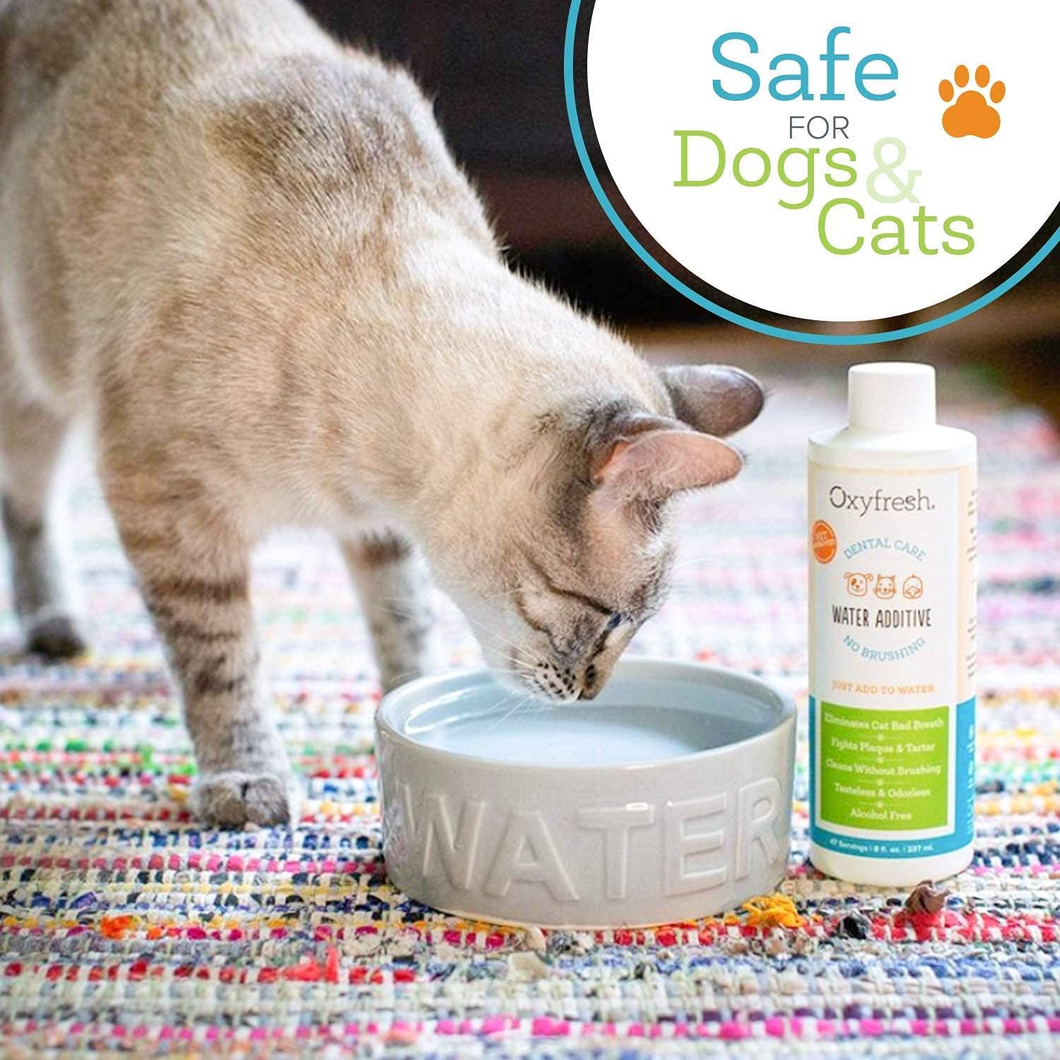 Oxyfresh Premium Pet Dental Care Solution Pet Water Additive: Best Way to Eliminate Bad Dog Breath and Cat Bad Breath - Fights Tartar & Plaque - So Easy, Just Add to Water! Vet Recommended 16 oz. - Pet Explorer