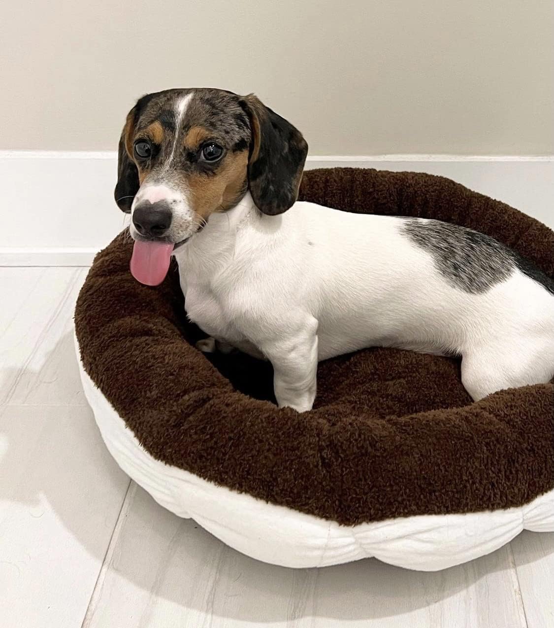 TONBO Soft Plush Small Cute and Cozy Food Dog Cat Bed, Washer and Dryer Friendly (Cookies and Cream) - Pet Explorer