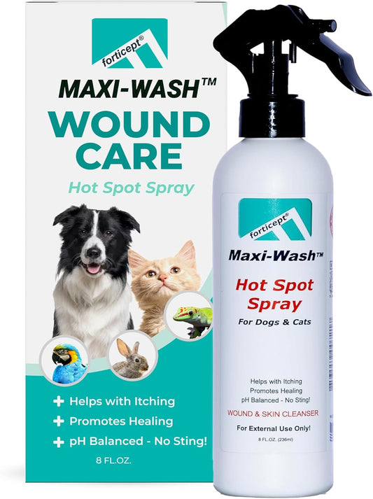 Forticept Maxi-Wash Hot Spot Spray Treatment, Wound Care & Itch Relief Spray for Dogs and Cats. Relives Scratching, Rashes, Sores, Itchy Skin and Paw Licking 8 oz - Pet Explorer
