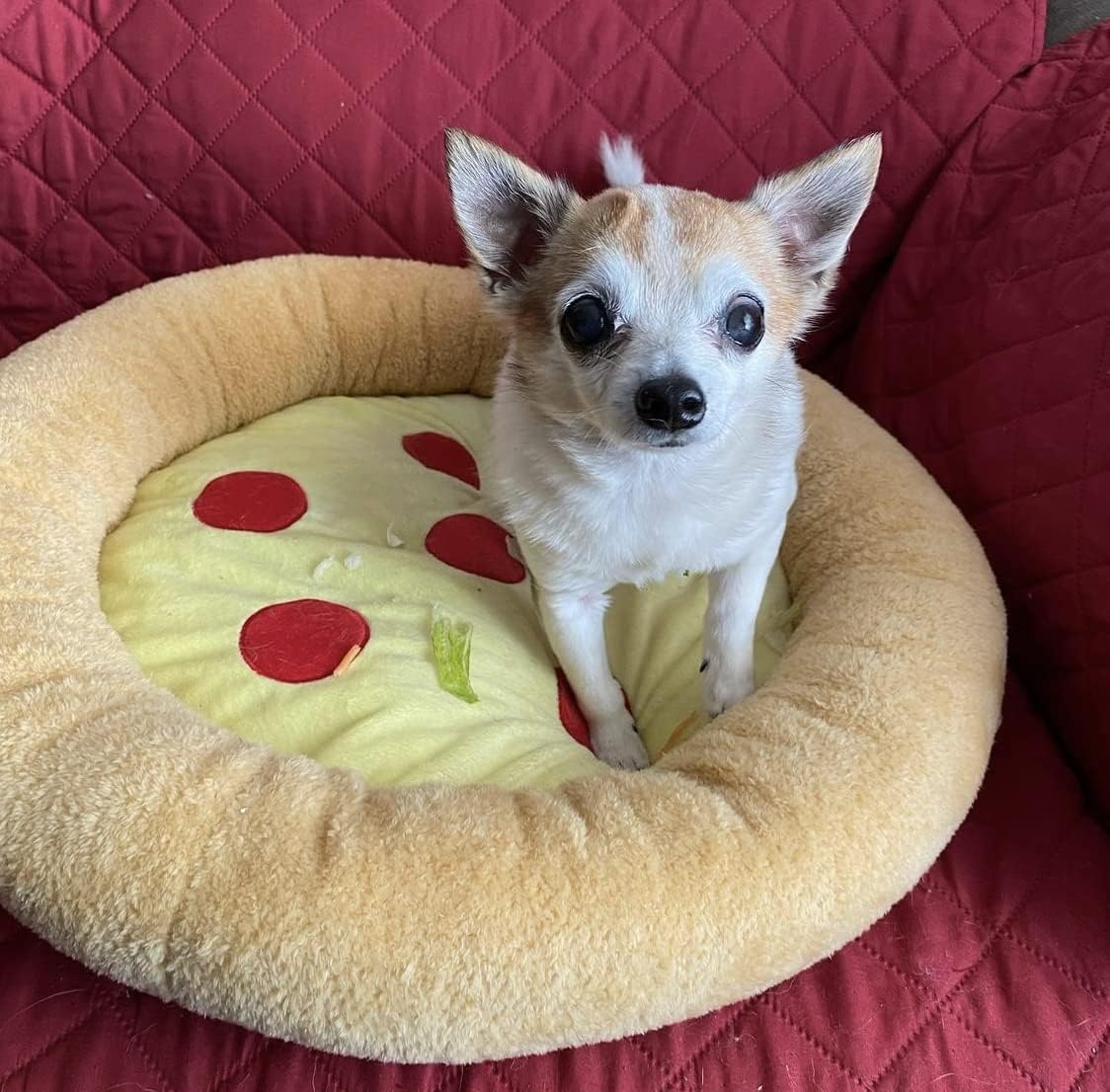 TONBO Soft Plush Small Cute and Cozy Food Dog Cat Bed, Washer and Dryer Friendly (Pizza) - Pet Explorer