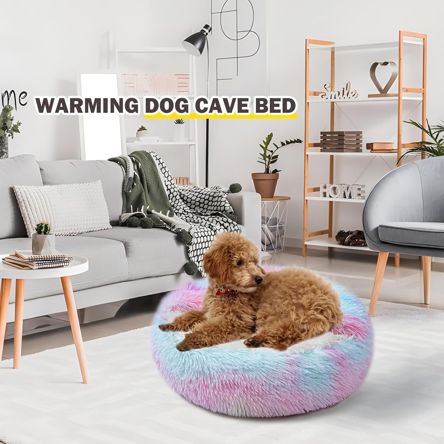 Cat Bed for Indoor Cats, Calming Cozy Cave with Self-Warming Plush, Entire Bed Machine Washable & Anti-Slip Base, Breathable Pet Bed for Small Cats&Dogs All Seasons (Dazzling Colors, 24 * 24inch) - Pet Explorer