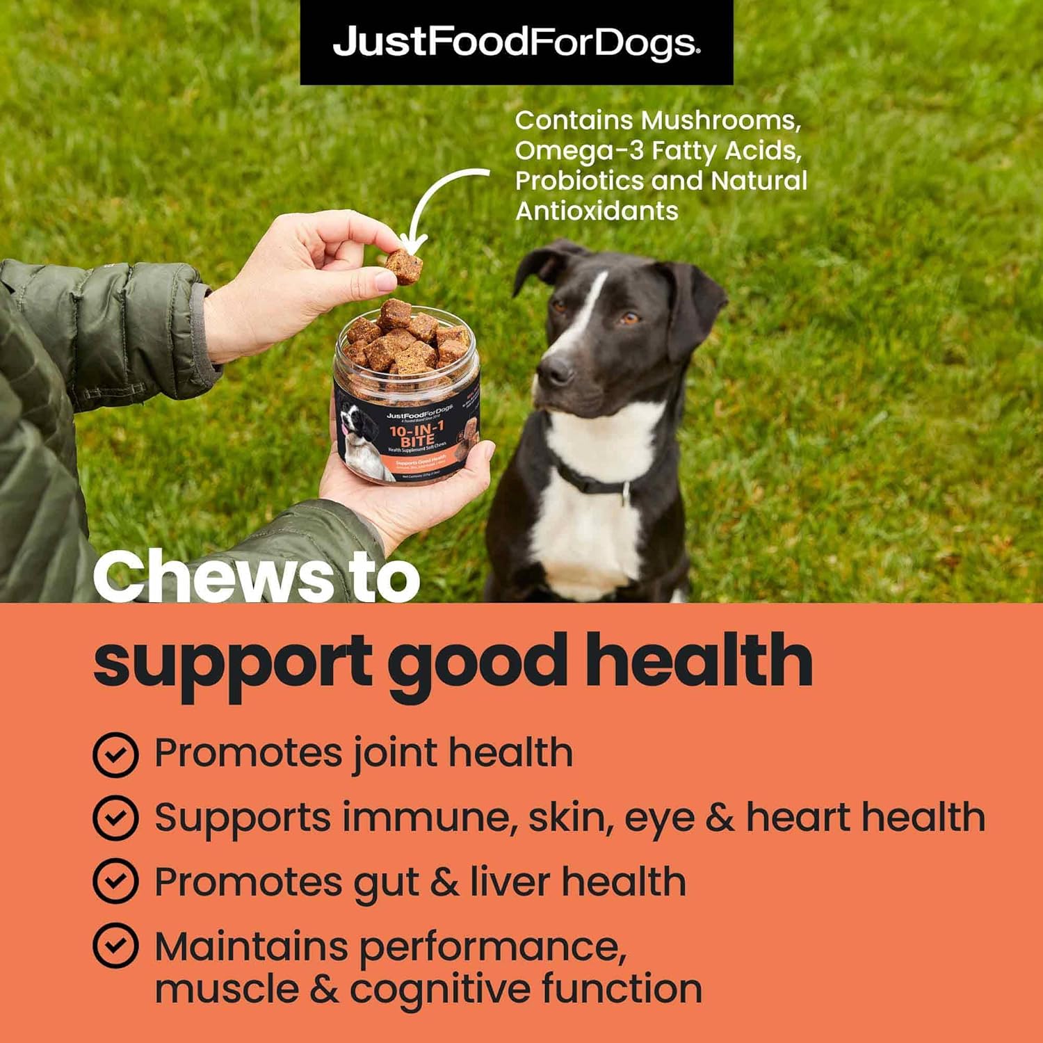JustFoodForDogs 10-in-1 Multifunctional Supplement Chews for Dogs, Superfood Blend, Glucosamine, Omega-3 Fatty Acids, Skin Health, Joint Health, Probiotics, Plant-Based, Human Grade - 45 Count - Pet Explorer