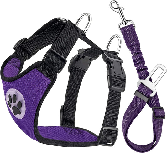Lukovee Dog Seat Belt for Car, Adjustable Dog Car Harness for Large Medium Small Dogs, Soft Padded & Breathable Mesh Dog Seatbelt with Car Vehicle Connector Strap (Purple,XX-Small) - Pet Explorer