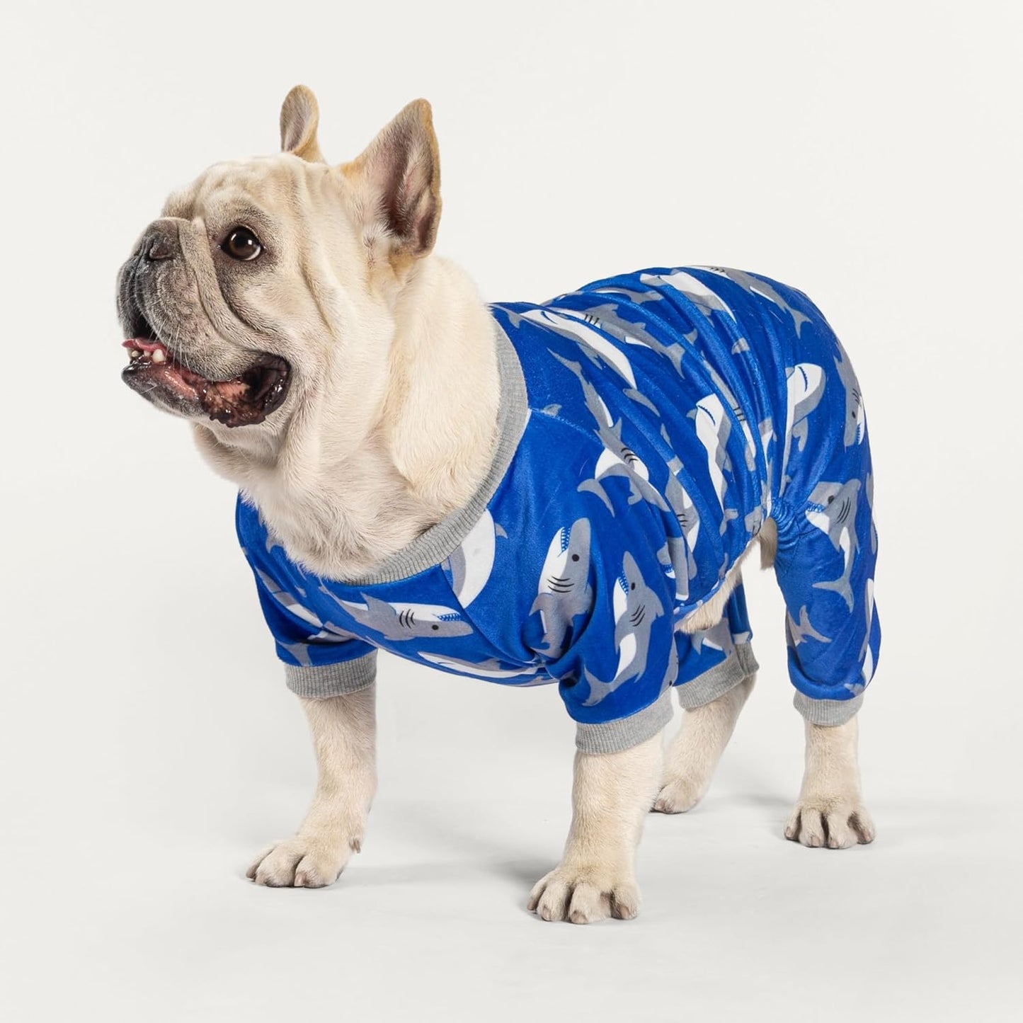 Fitwarm Shark Dog Pajamas, Dog Clothes for Small Dogs Girl Boy, Pet Onesie with Feet, Cat Outfit, Lightweight Velvet, Royal Blue, XL