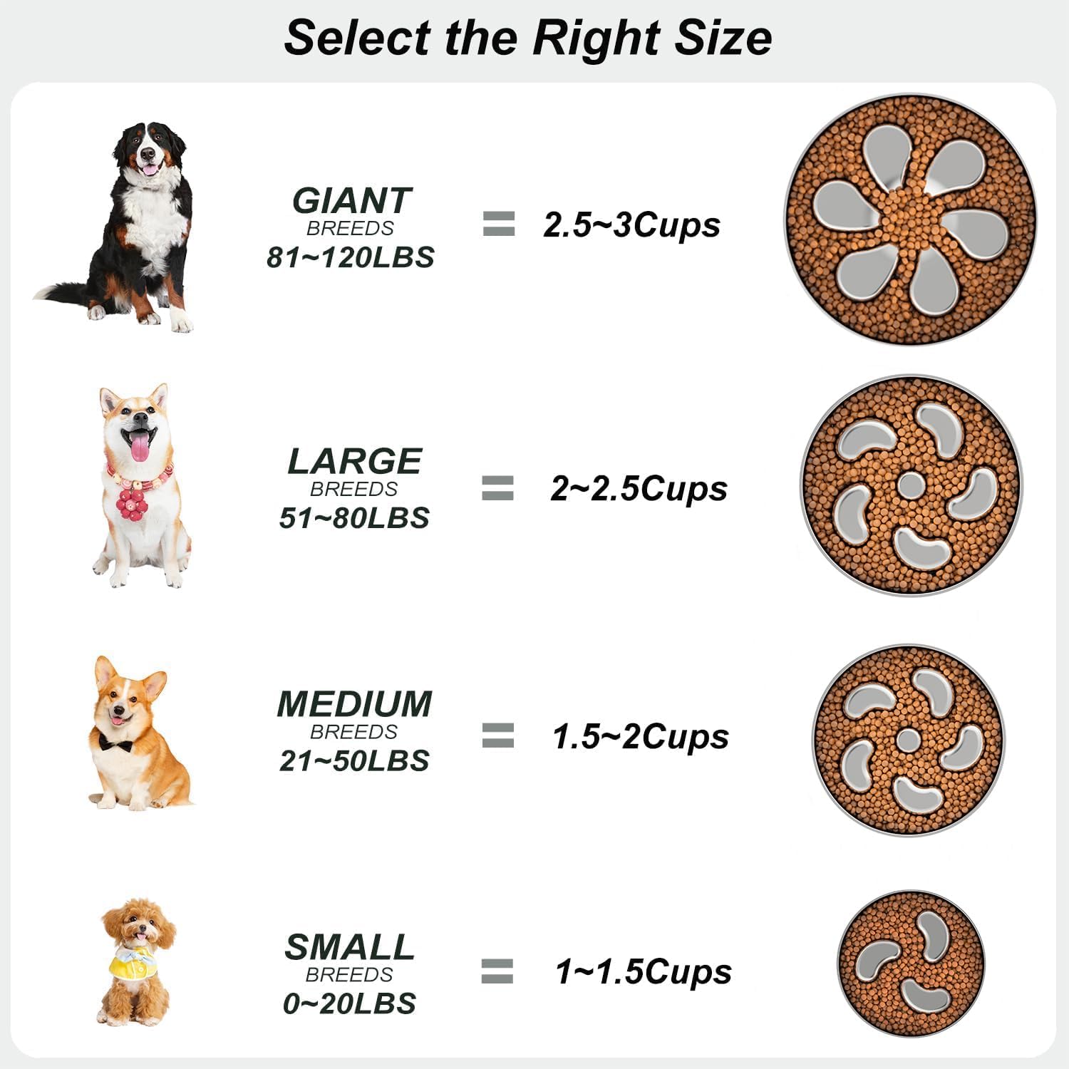 Slow Feeder Dog Bowl, Double Wall Food Grade Stainless Steel, Heavy Duty with Non-Slip Rubber Base, 2Cups Capacity for Medium Dogs to Slow Down Eating - Pet Explorer