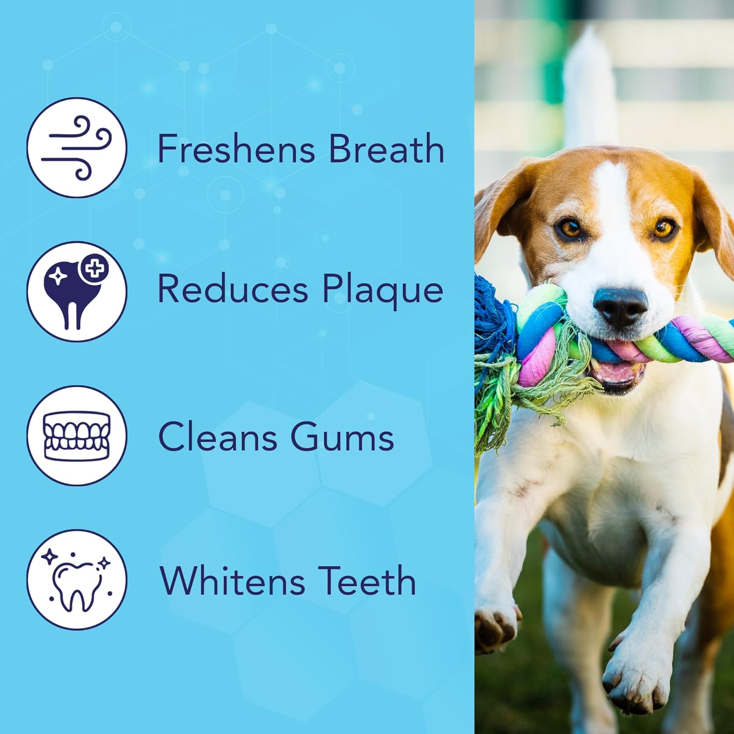NOVEHA Pets Dental Finger Wipes for Dogs & Cats | Freshens Breath, Reduces Plaque | Healthier Gums | Clean Teeth No Toothbrush | Vet Recommended Effective Natural Oral Care (100 pcs, Mint) - Pet Explorer
