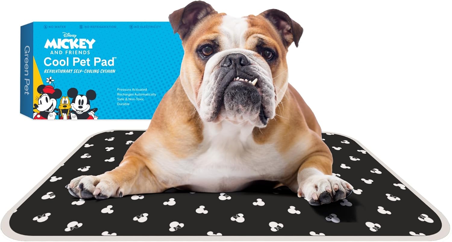 The Green Pet Shop Cool Pet Pad - Medium, Disney’s Mickey & Minnie Mouse - Self-Cooling, Pressure Activated Mat for Dogs & Cats from 21-45 lbs - Non-Toxic Gel, No Water Needed - Pet Explorer