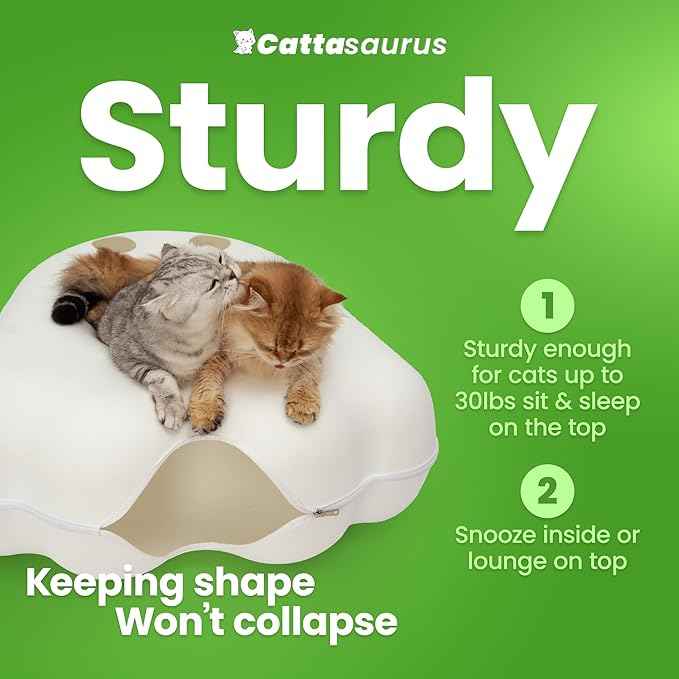 Cattasaurus Unique Gothic Peeka-Boo Cat Cave Duo Jumbo Set, Extra Spacious for Multiple & Large Cats 15+ lbs, Scratch Detachable Cat Beds for Indoor Cats, Washable Tunnel Bed