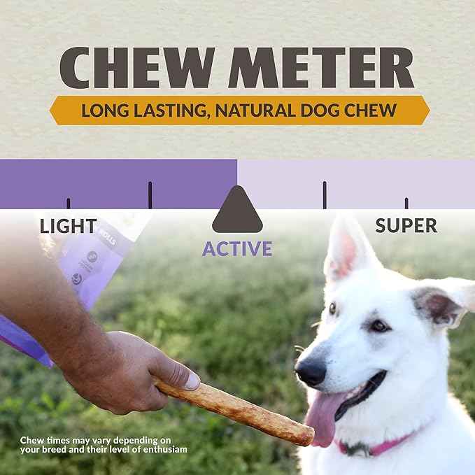 Wild Eats Collagen Chews - Stick Dog Treat for Medium & Large Dogs (10" 3ct, Real Duck) - Long Lasting, Rawhide Free, Low Fat, Grain Free Retriever Rolls