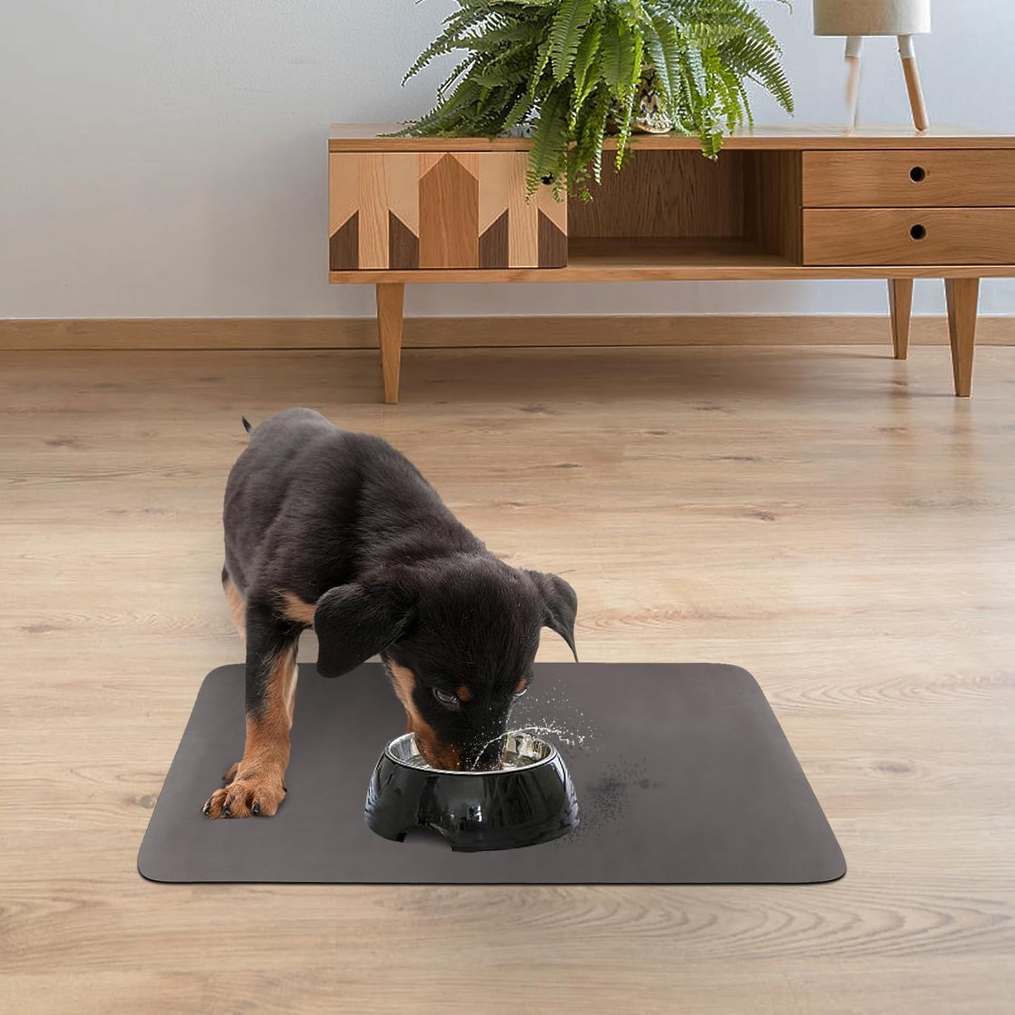 Quick Dry Absorbent Dog Food Mat, 19 x 12 in Diatom Mud Dog Water Bowl Mat, No Messy Anti-Slip Pet Feeding Mat Dog Supplies for Small Dogs - Pet Explorer