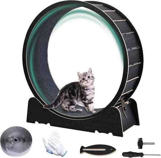 Large Cat Exercise Wheel 40 Inch Treadmill Exerciser for Indoor Cats Love Kitty Running Toy Walking Training for Fitness Weight Loss Device Suitable for Most Cats Physical Exercise Activity