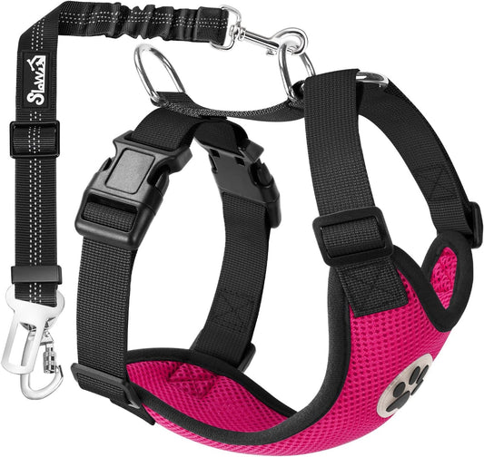 SlowTon Dog Seat Belt Harness for Car, Dog Car Harness Adjustable Mesh Breathable & Dog Seatbelt Safety Tether with Elastic Bungee for Small Medium Large Pets(Fuchsia, Double Clip, M) - Pet Explorer