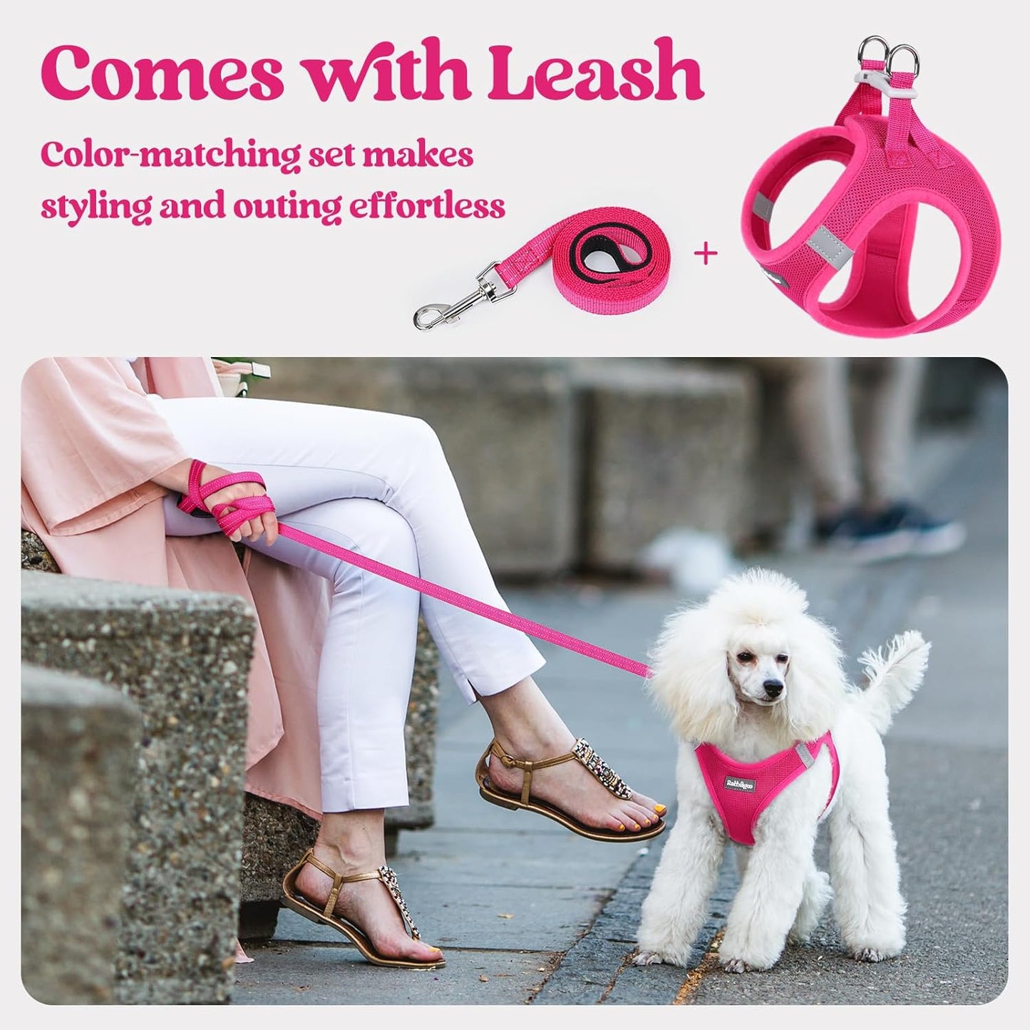 rabbitgoo Dog Harness Small Medium Sized and Leash Set, Step in Soft Light Puppy Vest, Breathable Mesh Pet Harness, Reflective for Safe Easy Walking, Rose Red L