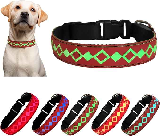 LED Dog Collar with AirTag Holder and Custom ID Tag, 15 Light Modes, Waterproof, Multiple Colors (RED, M(11.8-15.7"))