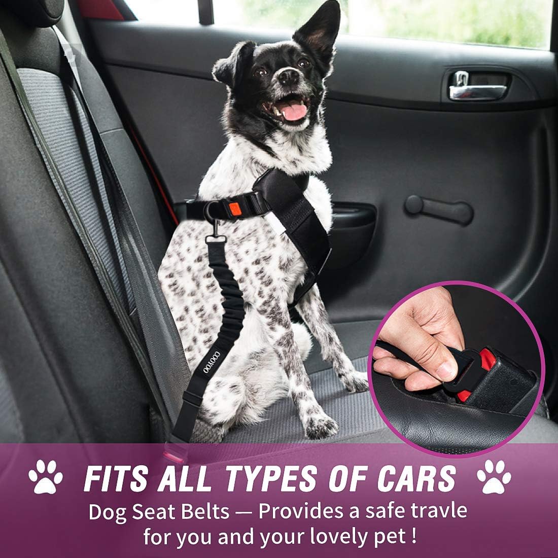 COOYOO Dog Seat Belt,3 Piece Set Retractable Dog Car Adjustable Seatbelts for Vehicle Nylon Pet Safety Heavy Duty & Elastic & Durable Car Harness for Dogs - Pet Explorer