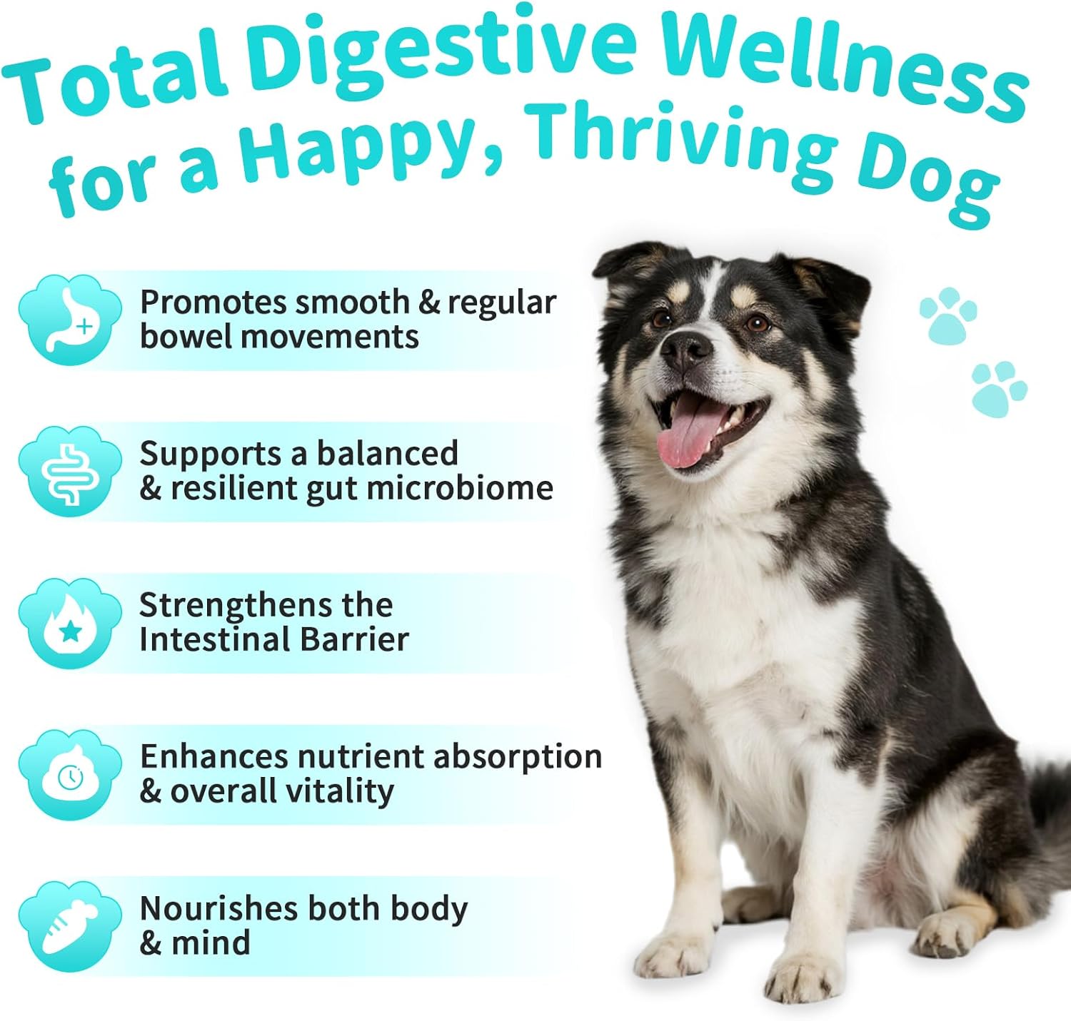 Probiotics for Dogs, Digestive Enzymes for Gut Health Support, Dog Fiber Supplement with Pumpkin for Diarrhea & Bowel Support, Upset Stomach & Gas Relief, Constipation - 90 Count Chicken Flavor - Pet Explorer