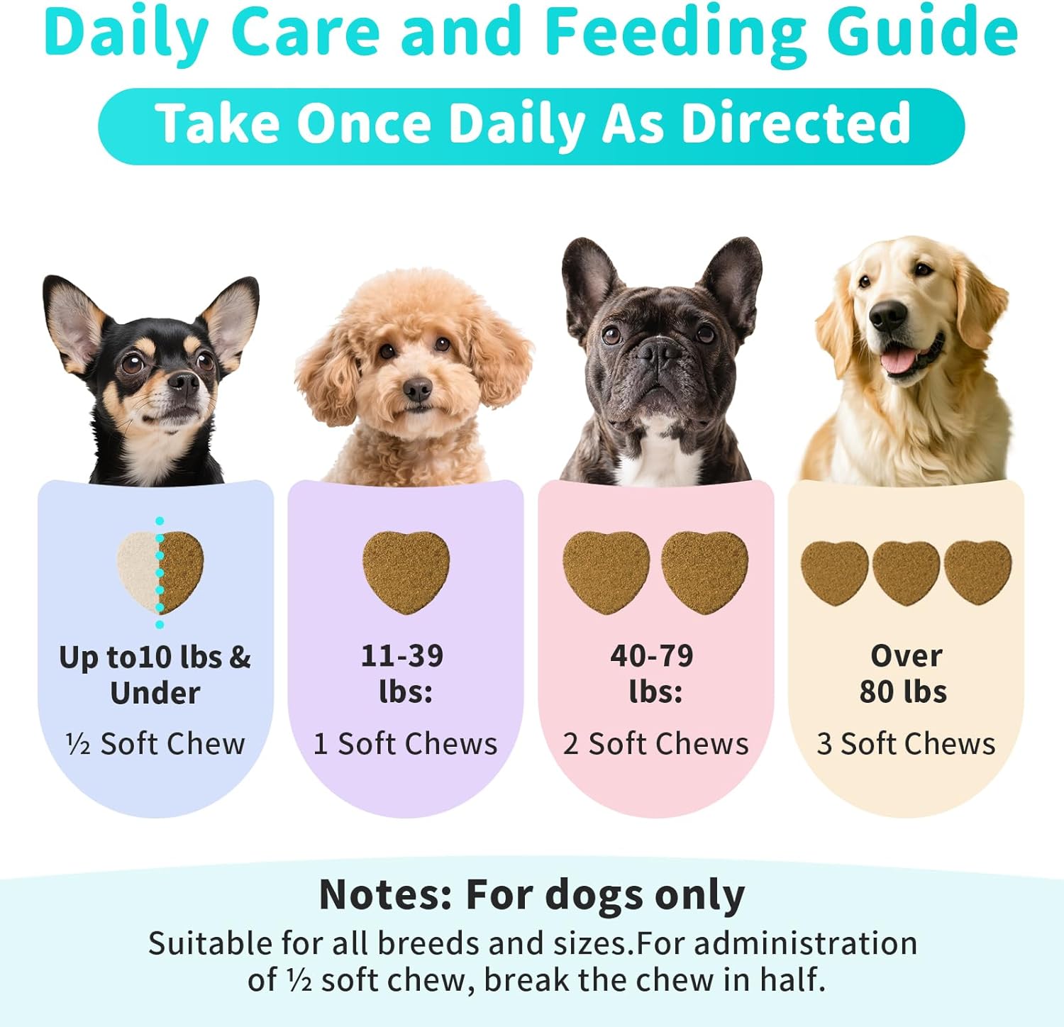 Probiotics for Dogs, Digestive Enzymes for Gut Health Support, Dog Fiber Supplement with Pumpkin for Diarrhea & Bowel Support, Upset Stomach & Gas Relief, Constipation - 90 Count Beef Flavor - Pet Explorer