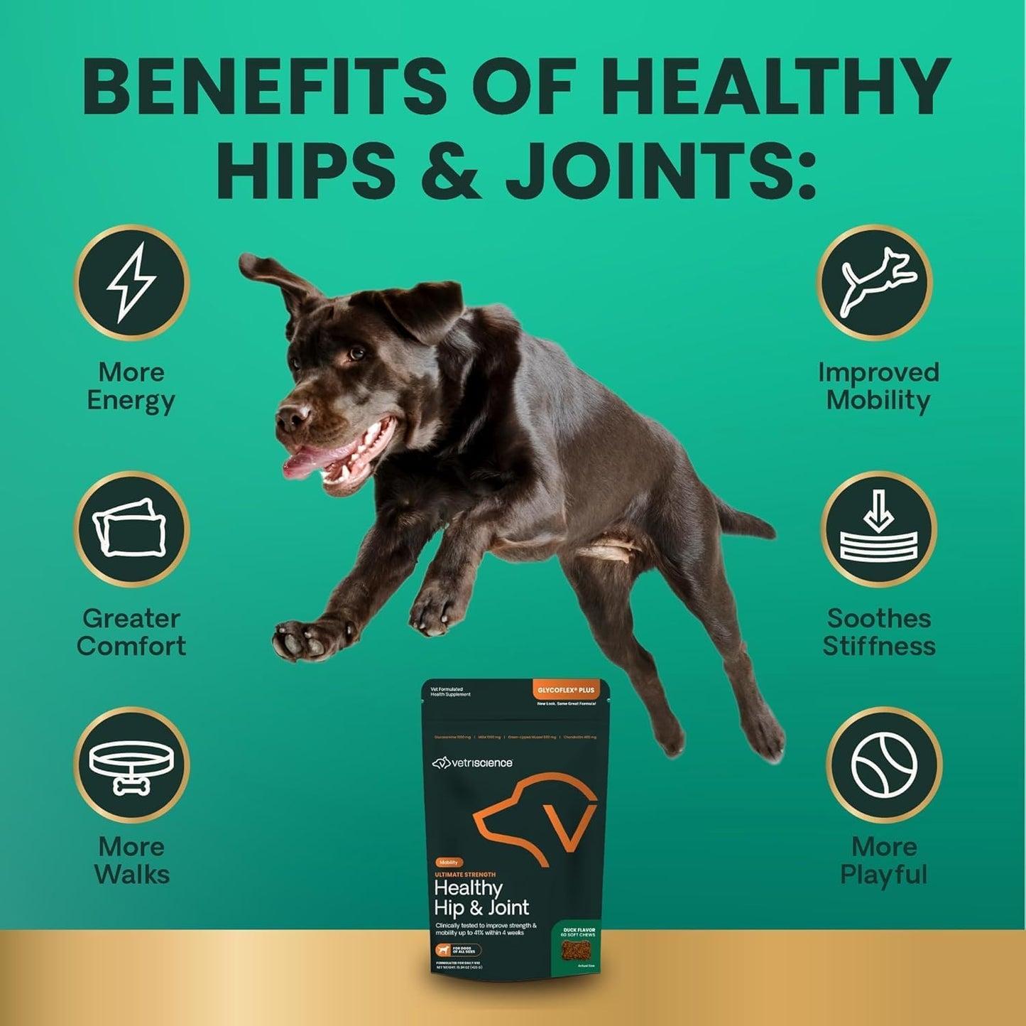 VetriScience Ultimate Strength Healthy Hip & Joint Chews, GlycoFlex Glucosamine, Chondroitin and Green-Lipped Mussel Joint Support Supplement for Dogs, Soothe Joint Discomfort, Duck, 60 Count - Pet Explorer