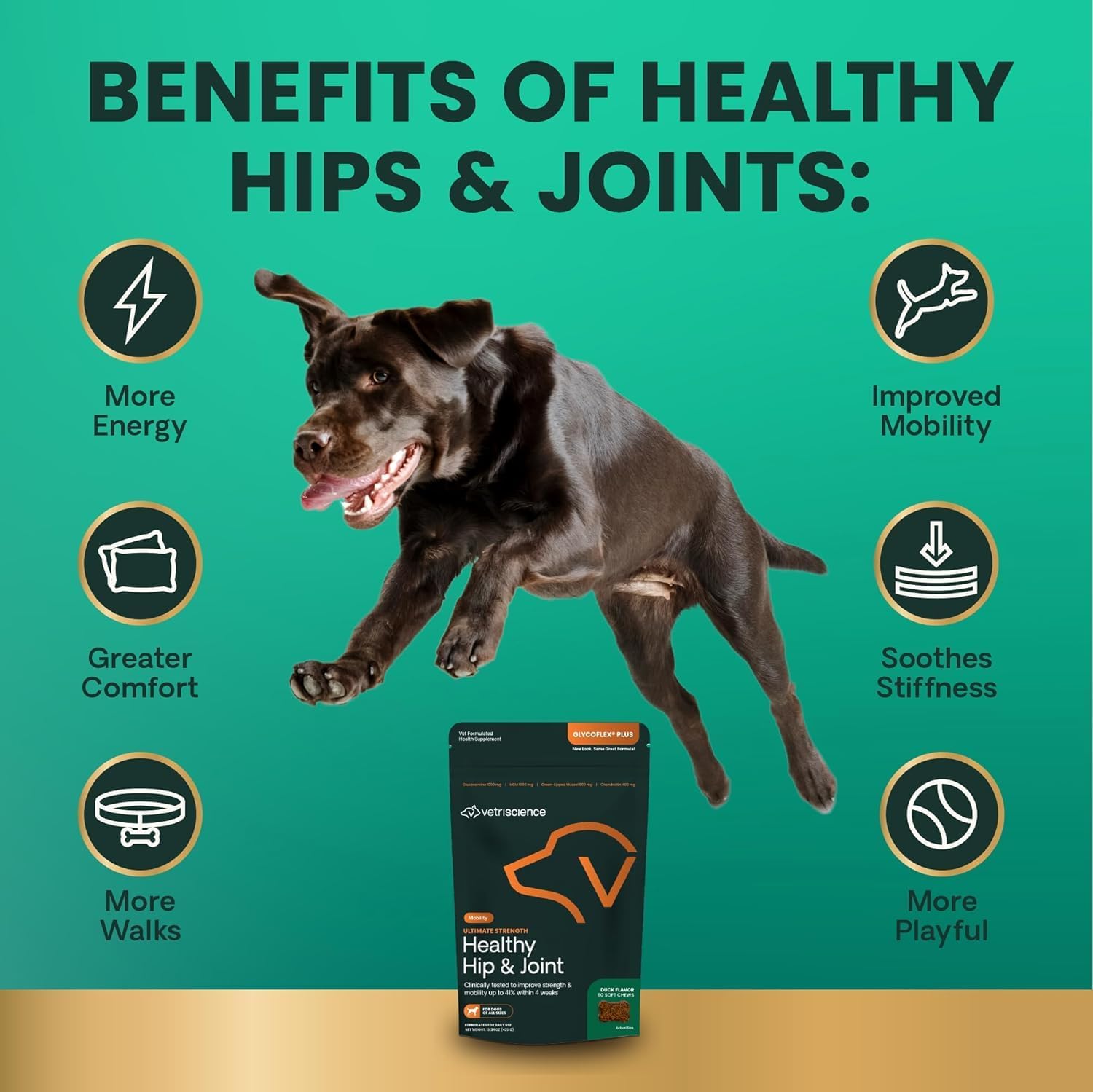 VetriScience Ultimate Strength Healthy Hip & Joint Chews, GlycoFlex Glucosamine, Chondroitin and Green-Lipped Mussel Joint Support Supplement for Dogs, Soothe Joint Discomfort, Duck, 60 Count - Pet Explorer