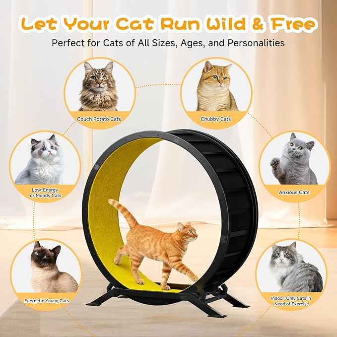 GTPLAYER Cat Wheels, Large Cat Exercise Wheel for Indoor Cats, 40"Diameter cat treadmill Detachable Carpet & Teaser, stickers, Ultra-quiet scroll wheel With latch, Suitable for Most Cats Metal, Yellow