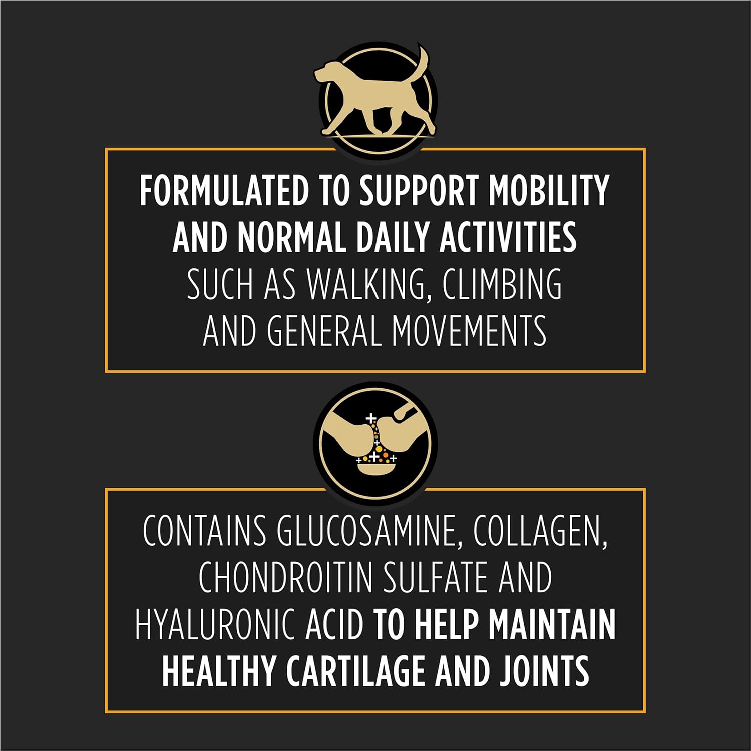 Purina Pro Plan Veterinary Joint Care Joint Supplement for Small Breed Dogs Hip and Joint Supplement - 2.65 oz. Pouch - Pet Explorer