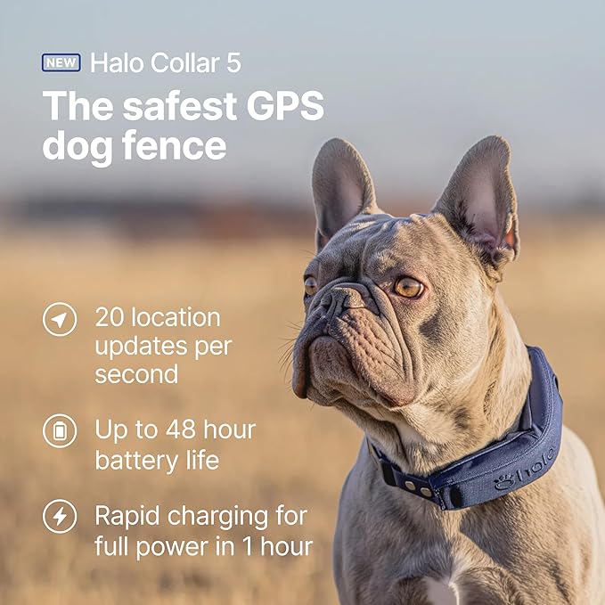 Halo Collar 5 Wireless Dog Fence & GPS Dog Collar, Keep Your Dog Safely Contained Outdoors with App-Controlled Boundaries and Real-Time Tracking, One Size, Midnight