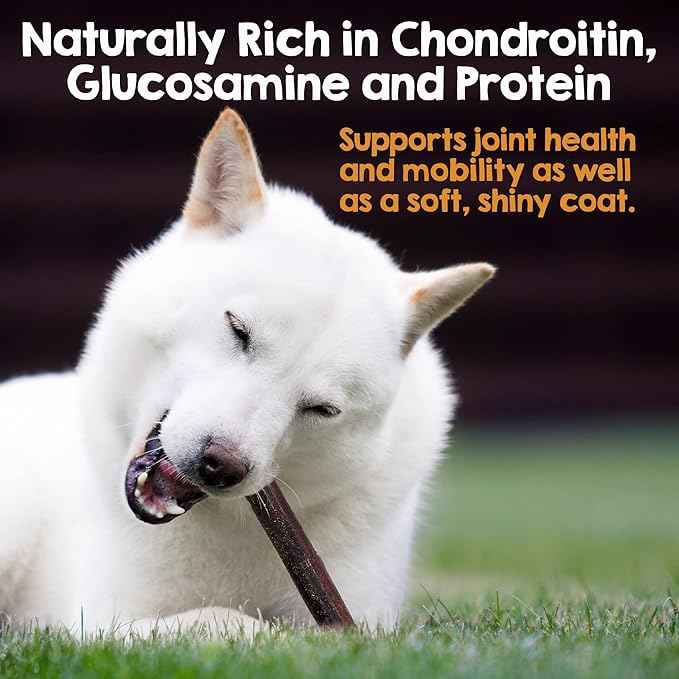 Riley's 12 Inch Beef Collagen Sticks for Dogs, Collagen Chews for Dogs, Bully Stick & Rawhide Alternative, Long Lasting, No Raw Hide Chews, Single Ingredient Dog Treat- 10 ct