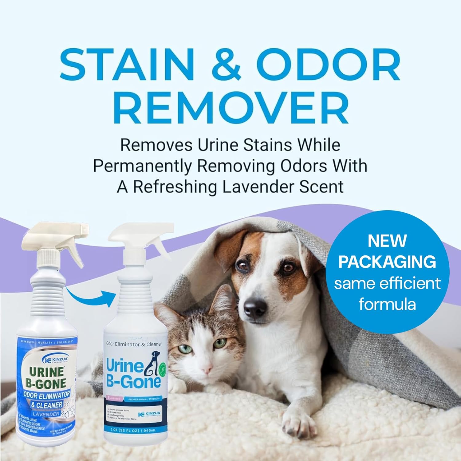 KINZUA ENVIRONMENTAL Urine B-Gone, Professional Enzyme Odor Eliminator & Pet Stain Remover, Human, Cat & Dog Urine Cleaner, Effective on Laundry, Carpets & More, Lavender Scent, 32oz, Pack of Two - Pet Explorer