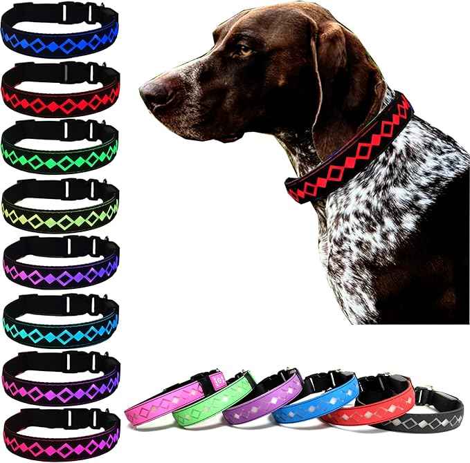 LED Dog Collar with AirTag Holder and Custom ID Tag, 15 Light Modes, Waterproof, Multiple Colors (Black, S(7.87-11.8"))