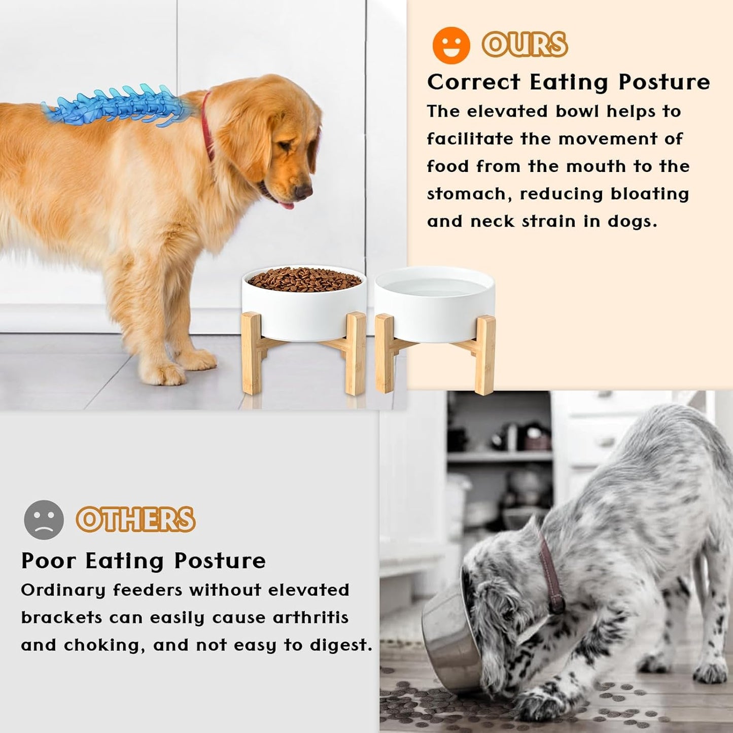 SPUNKYJUNKY Ceramic Elevated Dog Bowls 2 Pack - 8.3inch Raised Dog Bowls with Non-Slip Wooden Stand for Large Dogs Dishwasher Safe(White,60OZ*2) - Pet Explorer