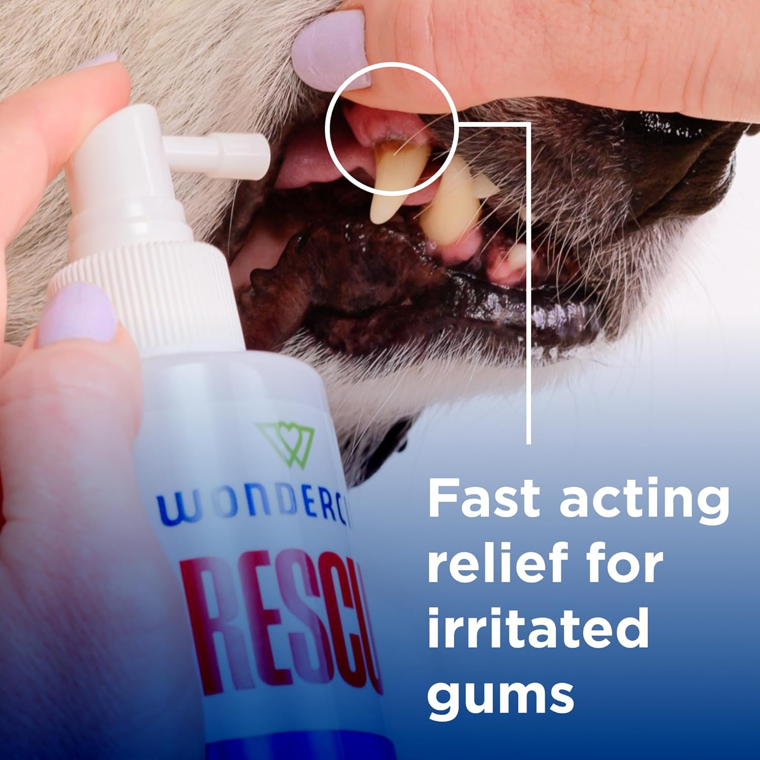Wondercide Rescue - Oral Spray for Dogs and Cats – Freshens Breath, Soothes Gums, Alcohol Free Daily Dental Care with Pure Hypochlorous – 8.5 oz - Pet Explorer