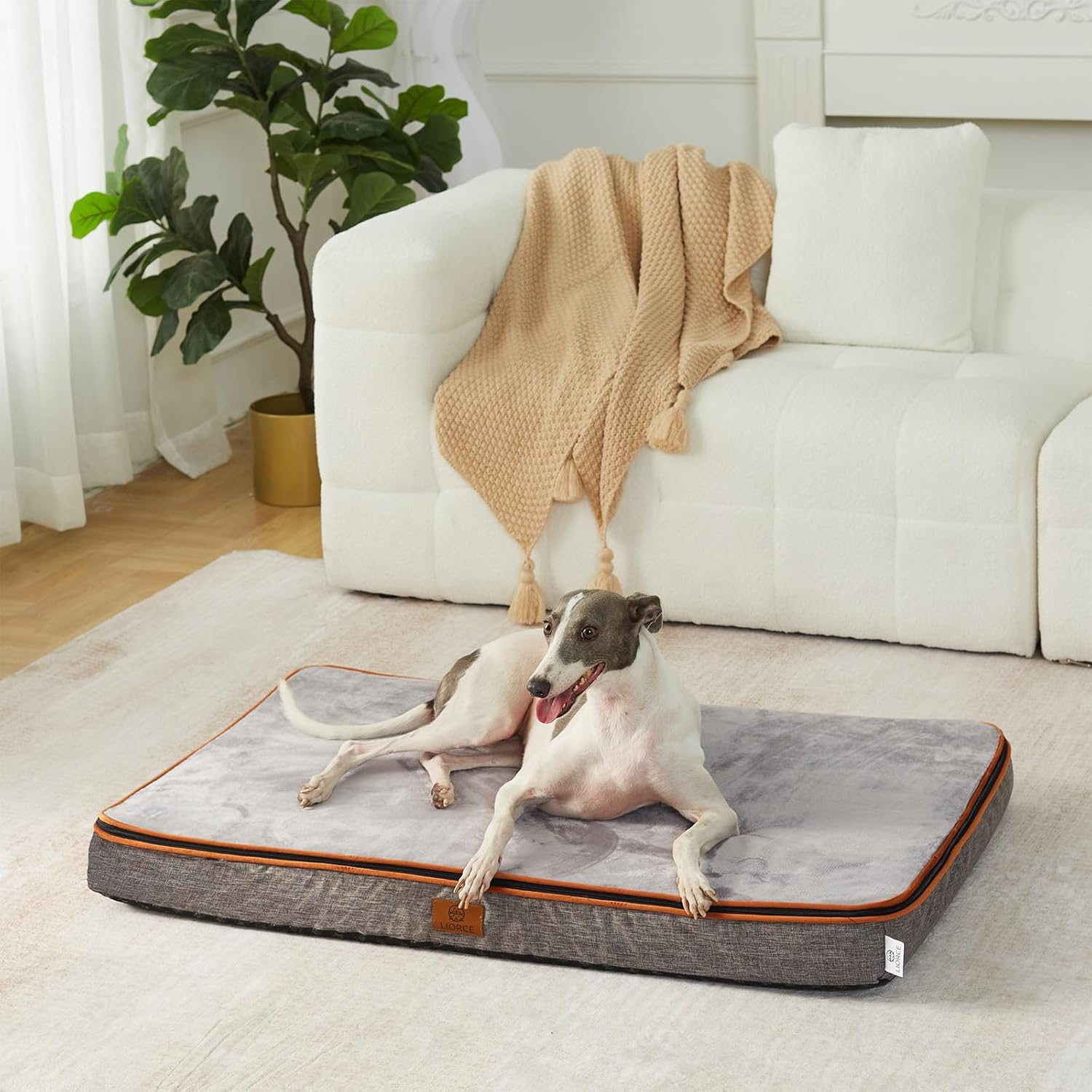 Memory Foam Large Dog Bed - 4” Thick Orthopedic Beds for Large Dogs - Waterproof Dog Bed with Removable Washable Cover & Wrap-Around Zipper - Ultimate Comfort and Easy Maintenance - Pet Explorer