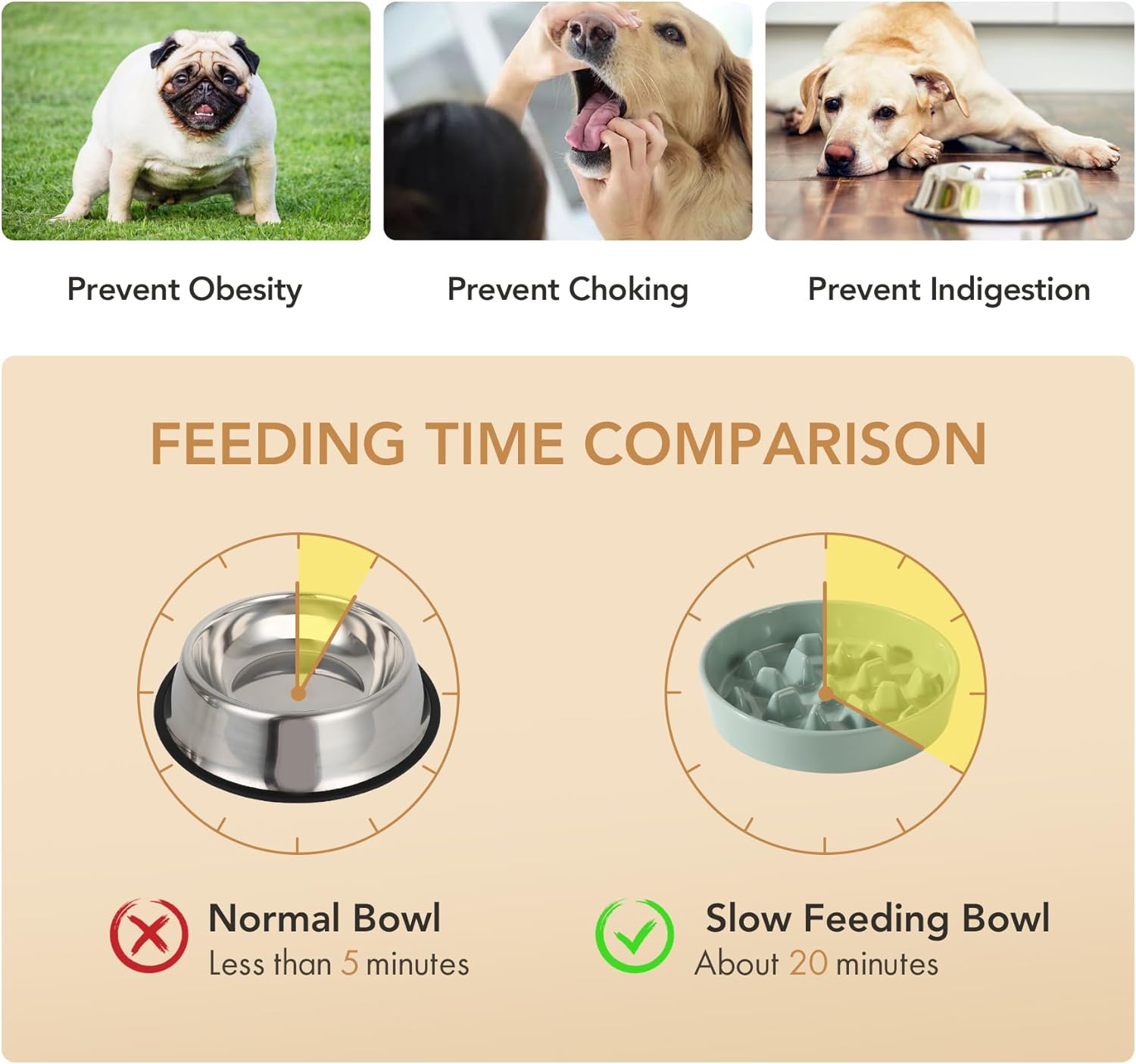 Ceramic 9.5 inch Dog Bowl Slow Feeder, Slow Pet Food Dish for Large Dog, Stop Bloat, Preventing Choking(Single Bowl,Light Green) - Pet Explorer