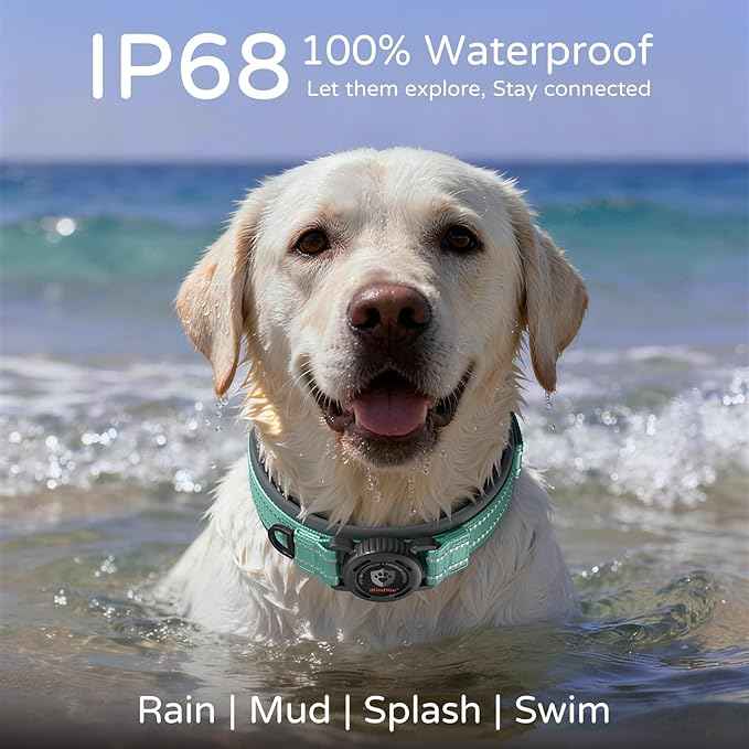 Upgraded AirTag Dog Collar with Holder, Waterproof Reflective Air Tag Dog Collar with Widened Comfortable Padding & Ultra-Durable Metal Buckle, Adjustable for Extra Large Dogs (XL, Cyan)