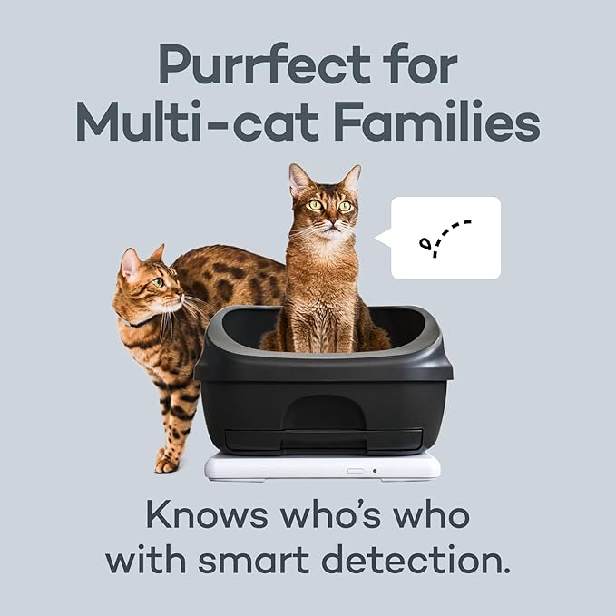 Board - Smart Litter Box Monitoring System, Healthcare, Scale, Weight, Automatic Recording, Works with Any Litter Box, IoT, Smartdevice, App, Excretion, for Cat, All Breeds